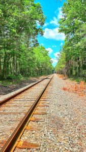 a train track in the middle of a forest